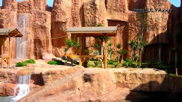Tiger - The Land of Legends Theme Park Turkey, Belek 2017 смотреть онлайн