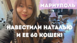 НАВЕСТИЛИ НАТАЛЬЮ И ЕЕ 60 КОШЕК! ЩЕНКИ ИЩУТ ДОМ!