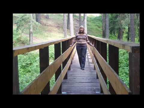 Мосты - поёт Расторгуев