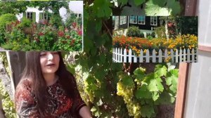 О садах и полисадниках