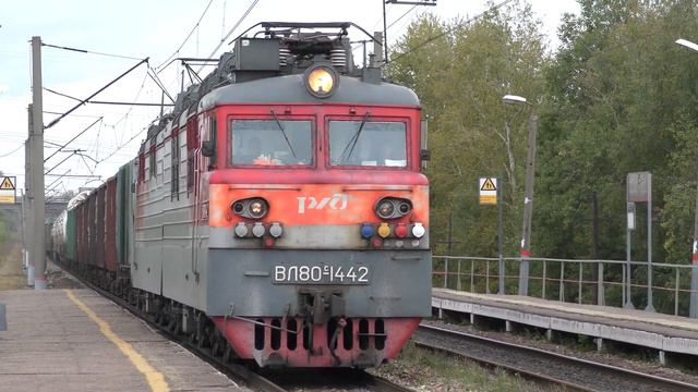 Электровозы 2ЭС5К-449 и ВЛ80С-1442 с грузовыми поездами смотреть онлайн