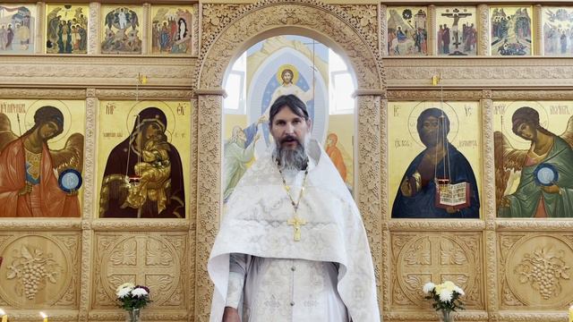 "Свет Христов исцеляет от слепоты". Проповедь в неделю о слепом, 29.05.22 смотреть онлайн