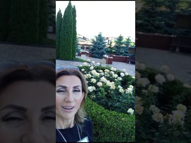 VID 20240604 WA0032