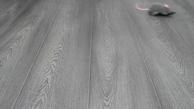 ТОВАРЫ ДЛЯ КОШЕК С Aliexpress смотреть онлайн