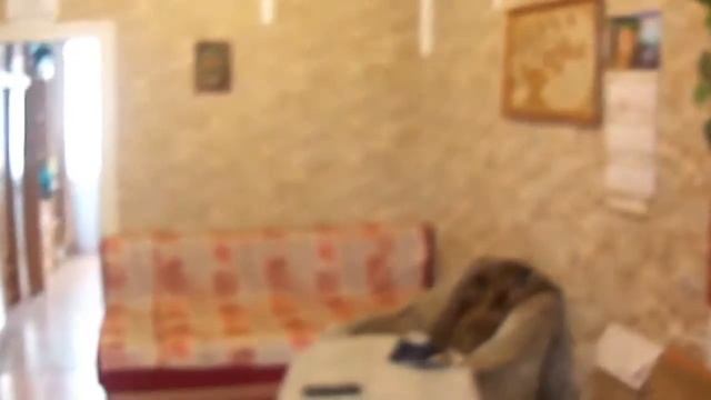 Продам 1кв в Ялте, на Набережной смотреть онлайн