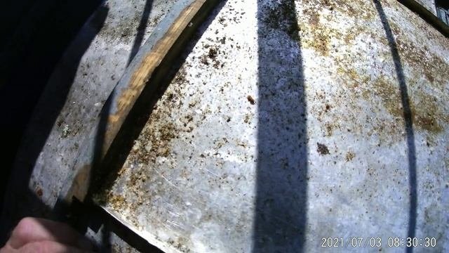 Клеща Варроа НЕТ.Муравьи охраняют пасеку.Нектар КОРИАНДРА носят за 6,5 км,вощину тянут.