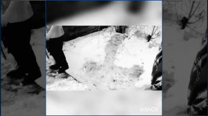 Учимся делать заднее сальто переднее арабское и фляг