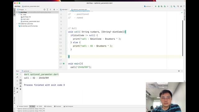 Dart function - optional parameter including positional & named смотреть онлайн