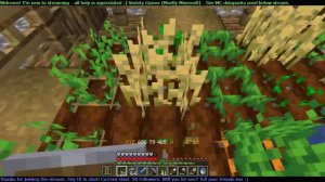 The Tyrant & Crucible (Ep. 8) New in Town | Datapack Survival MineCraft 1.18 Twitch Stream