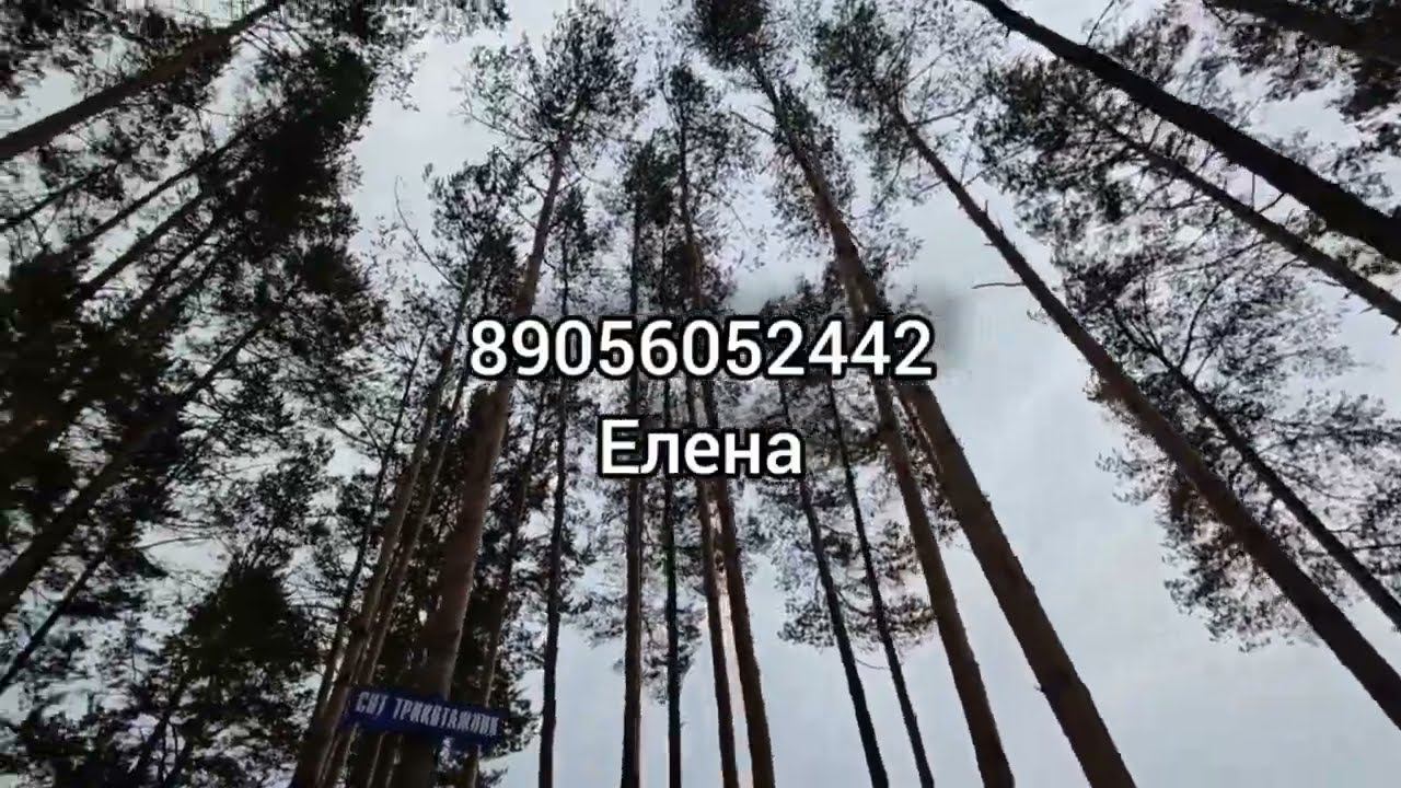 ПРОДАНО СНТ Трикотажник. По всем вопросам обращаться по номеру 89056052442 смотреть онлайн