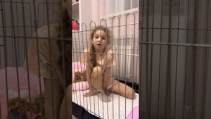 Вольер для собак и щенков рассказываю о Вальере   #собачийи#щенячийвольер#