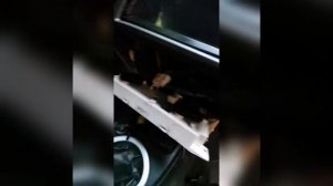 Ремонт кнопки кондиционера лифан смайли/ lifan smily 320