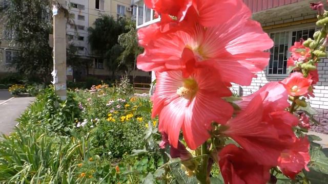 ФУТАЖНЫЕ ЗАСТАВКИ И ПЕРЕХОДЫ/ГОРОД 1 - FOOTAGE INTRODUCTIONS AND TRANSITIONS/TOWN 1 смотреть онлайн