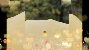 ПРАКТИКА ПРИНЯТИЯ НЕРОЖДЕННЫХ ДЕТЕЙ!