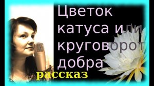 Цветок кактуса или круговорот добра в природе Реальная история.