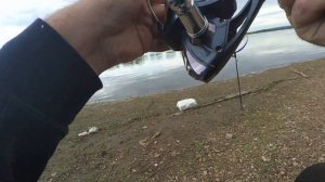 Фидерная ловля на быстром течении