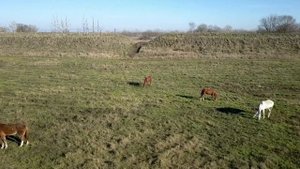 Станица Старочеркасская + крепость Святой Анны