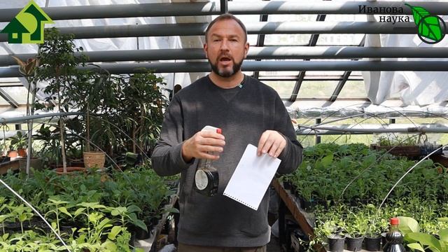 ОЧЕНЬ ВАЖНО ПОСМОТРЕТЬ! НИ ОДНО РАСТЕНИЕ НЕ СГОРИТ, если поступить ИМЕННО ТАК! РАСТИМ БЕЗ ОШИБОК. смотреть онлайн