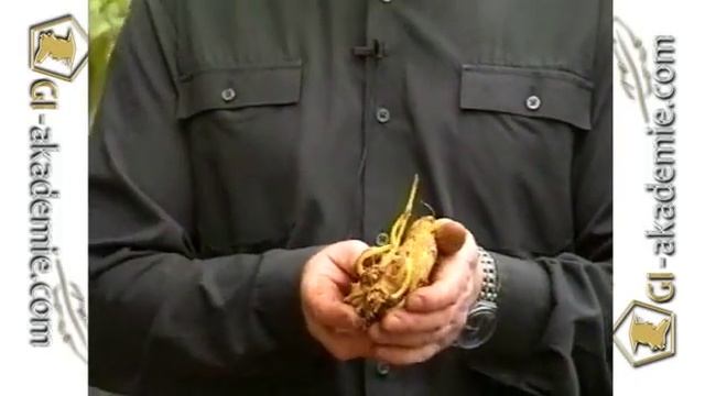 Советы садоводу - 4 смотреть онлайн