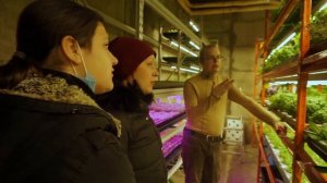 Экскурсия на вертикальную ферму Агроаспект. Обзор фермы будущего.