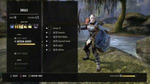 ESO | Magplar CONQUEROR pvp build updated for Morrowind (CP and Non-CP)