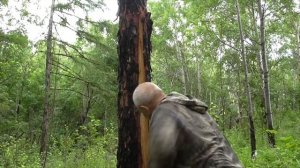 Как  можно укрыться от дождя в тайге Канал ТАЁЖНАЯ ОБИТЕЛЬ НИКОЛАЯ АБОИМОВА.