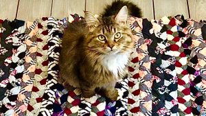 Как сделать Коврик для дома из старых вещей своими руками Мастеркласс