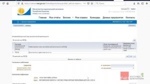 Как изменить ОКЭД или добавить вторичный ОКЭД