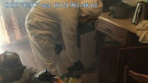 Обработка квартиры от тараканов горячим туманом