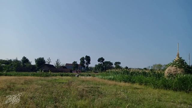 TERBANGKAN LAYANGAN GAPANGAN KELELAWAR SAYAP TRANSPARAN !!! смотреть онлайн