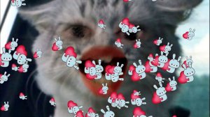 CRAZY DeUtScHe кошечки)) Песня о любви на немецком языке. Исполнитель: Оксана Ранг (14 февраля)