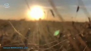 Просто Любить