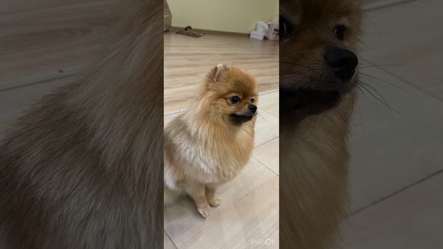 22 сентября 2023 г. смотреть онлайн