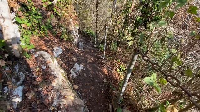 СОЧИ: Тисо-Самшитовая роща. Почти Канары смотреть онлайн