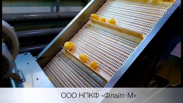Машина сульфитации (сульфитатор)