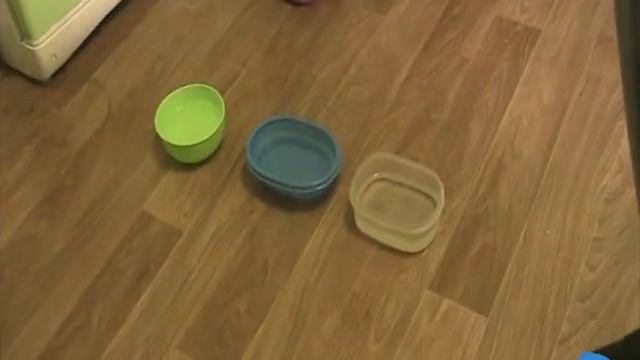 Какую воду пьют коты смотреть онлайн