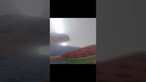 лили