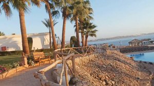 Club Reef 4*. Шарм Эль Шейх. (2021).