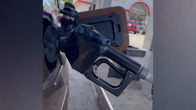 Сисун на отдыхе ? Доехал до 0 мили в Key West, Florida