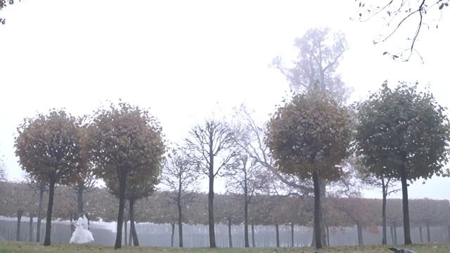 БЕЛАЯ ИСТОРИЯ СВАДЕБНЫЙ КЛИП смотреть онлайн