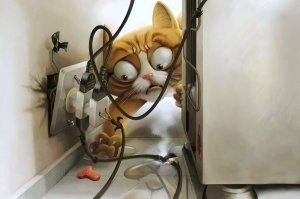 Самые смешные животные 2021/ Лучшие приколы с котами и собаками 2021