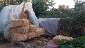 Заготовка пшеничной соломы в тюках. Сложить тюки в скирду