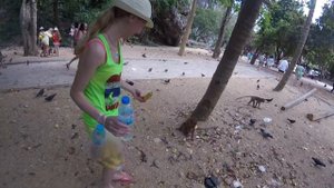 Тайланд. Часть 3. Рафтинг. Тарзанка. Слоны. Квадроциклы