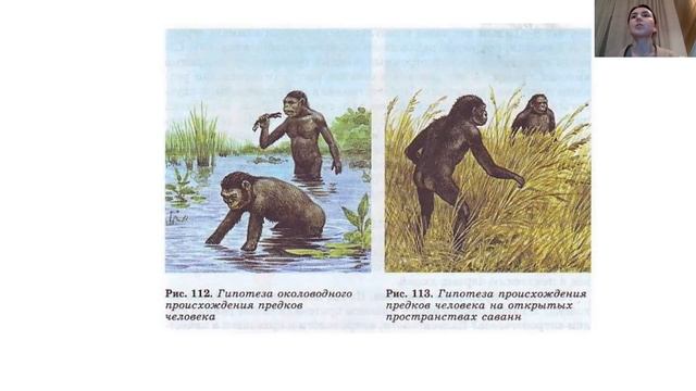 Гипотезы происхождения человека. Как появился человек?