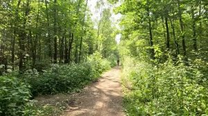 Официантка сорвала крупную сделку, произнеся ЭТУ фразу на корейском… Бизнесмены были в шоке…