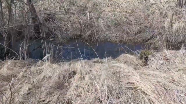 В поисках пропитания.#выживание смотреть онлайн