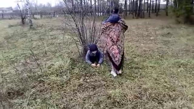 Н.Сладков. Лесные сказки смотреть онлайн