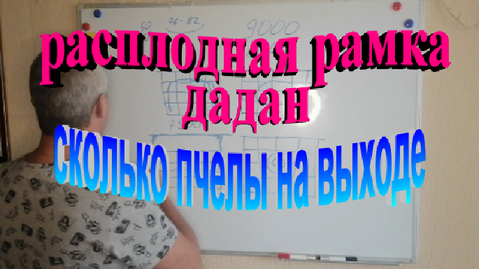 Сколько пчелы выходит с одной расплодной рамки смотреть онлайн
