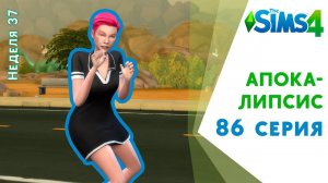 Апокалипсис #86. Смерть в уголочке. Закрыли Организатора благотворительного фонда