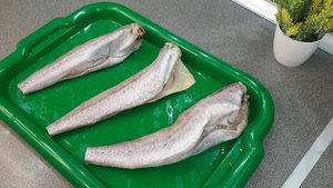 МИНТАЙ - жареная РЫБА В ПРОШЛОМ! ГОТОВЛЮ только так, ВЫ тоже ПОЛЮБИТЕ минтай